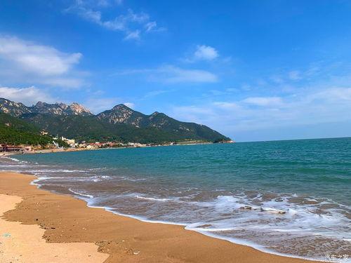 青岛海边爆料最新消息,惊现神秘海生物引发热议